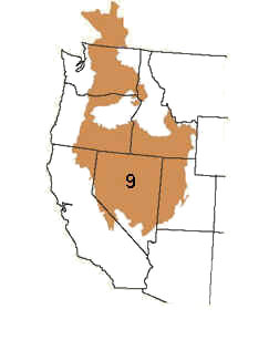 BCR9 Map