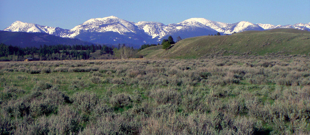Blackfoot Valley Sage Habitat by Dan Casey