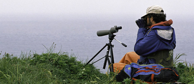 Birder  at the Alaska Maritime National Wildlife Refuge  by FWS