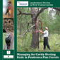 Landowner Stories in Bird Conservation: Managing for Cavity-nesting Birds in Ponderosa Pine Forests.