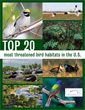 Top 20 Most Threatened Bird Habitats in the U.S.