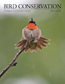 Bird Conservation Magazine Winter 2011 Cover